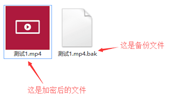 查看文件