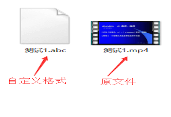 查看自定义格式