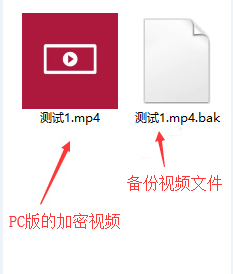 查看文件