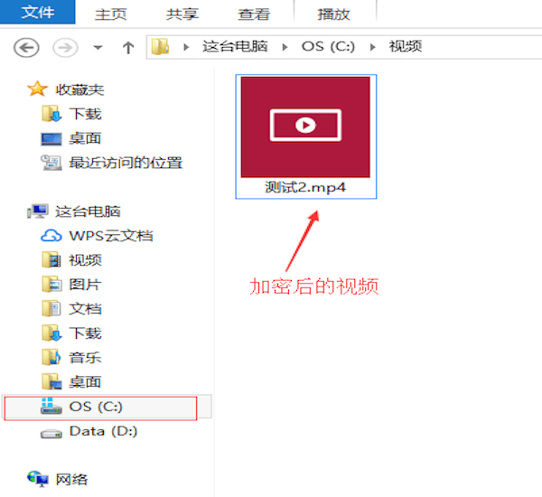 查看加密视频