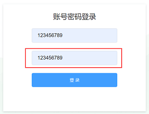 页面密码正常显示